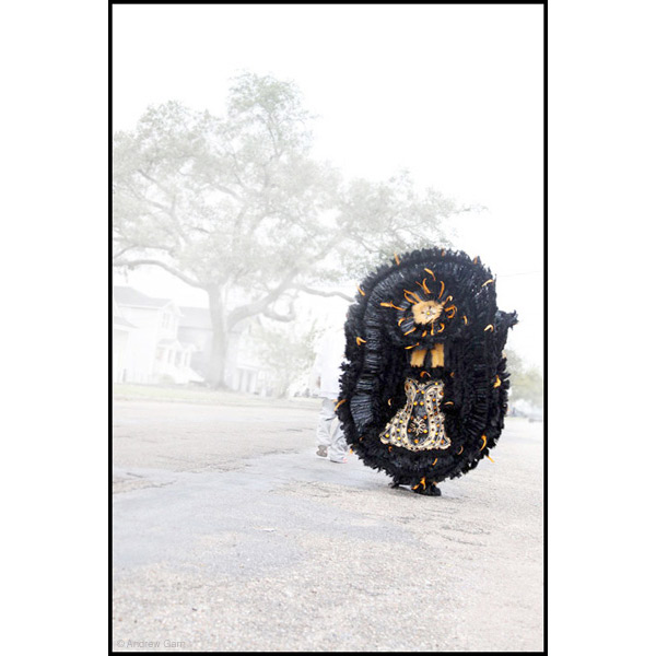 Mardi Gras Indian going home, New Orleans, La